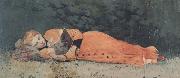 Winslow Homer The New Novel (mk44) USA oil painting artist